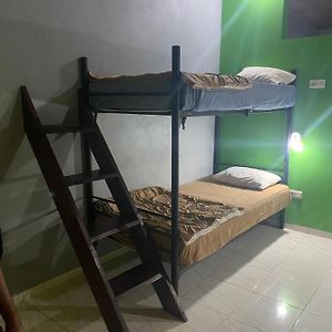 Bunk Bed Mixed Dormitory Room